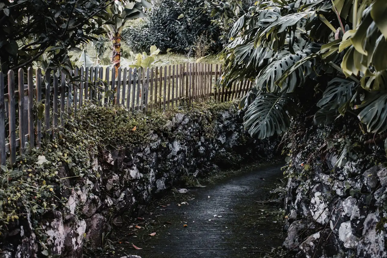 A levada water channel and walking path along a green mountainside in Madeira, Portugal