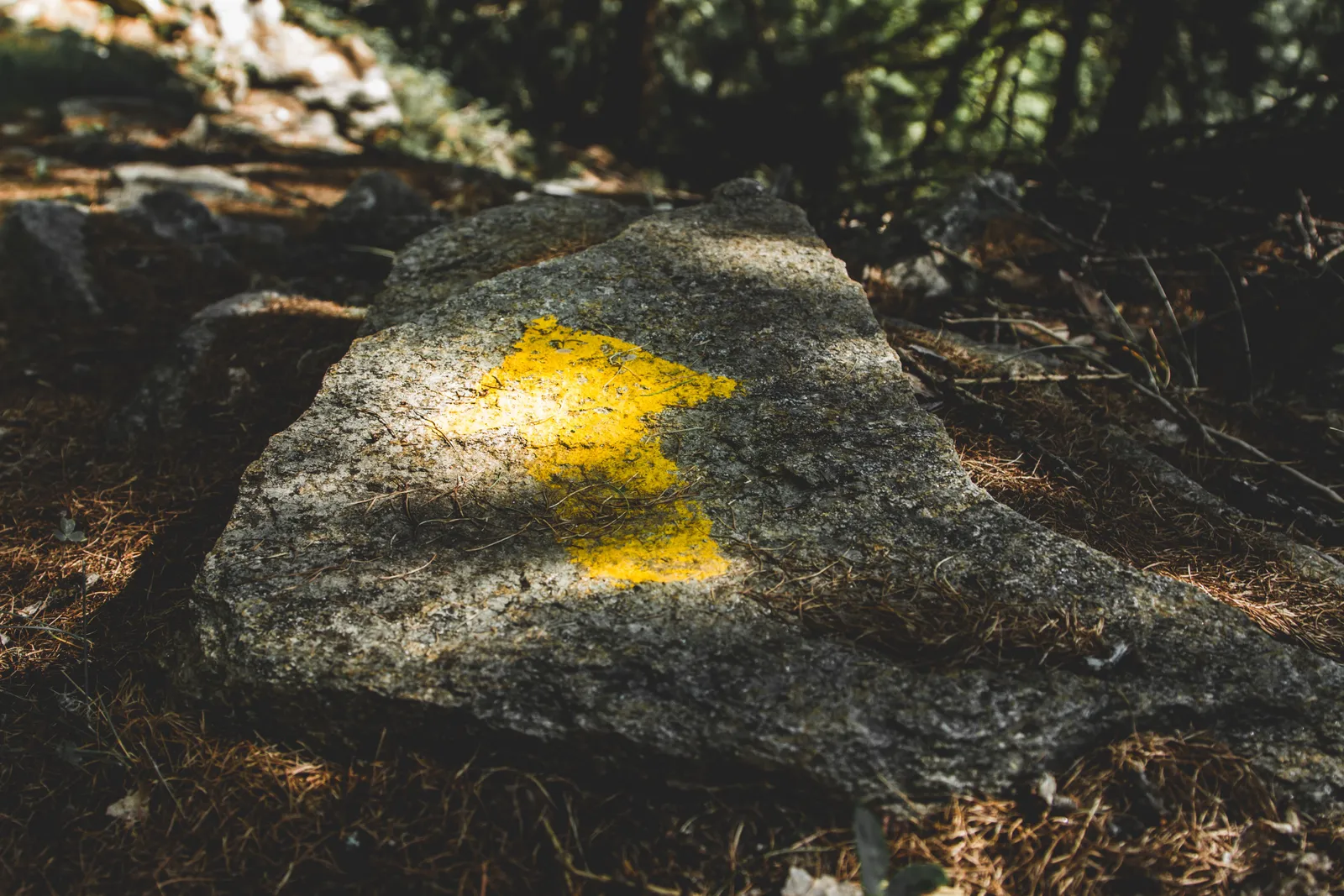 A yellow Camino waymarking arrow painted on a lichen covered rock