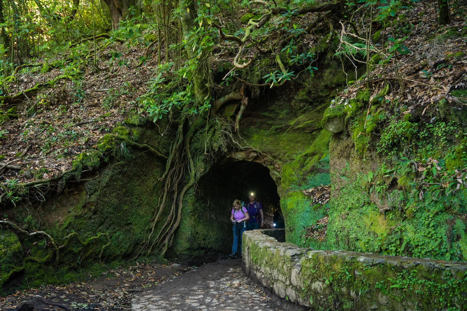 Walkers at the mouth of a rock tunnel draped in moss and ferns on the Levada do Caldeirão Verde in Madeira, Portugal