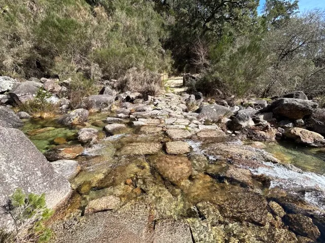 A shallow clear stream over granite rocks, a stone path between green shrubs