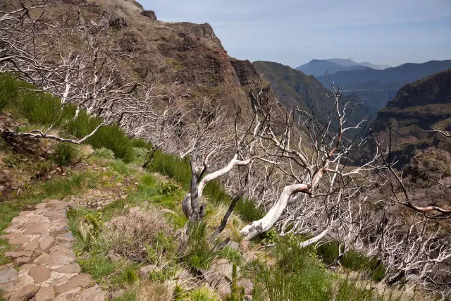 A rocky mountain trail winding between high bare ridges