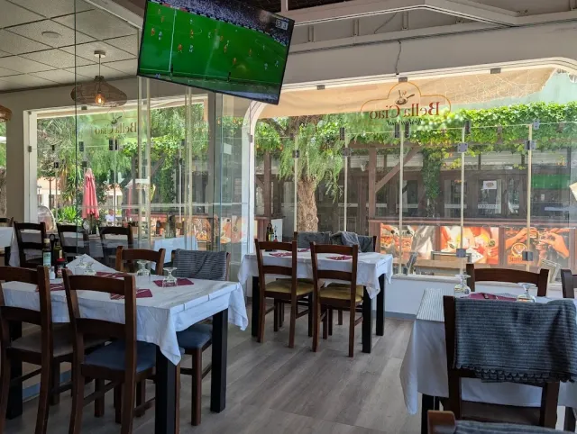 A glazed hall with tables set in white cloths, a hanging screen and green vines outside