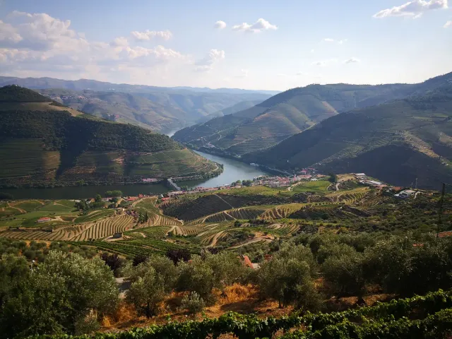A river winding between terraced vineyard slopes