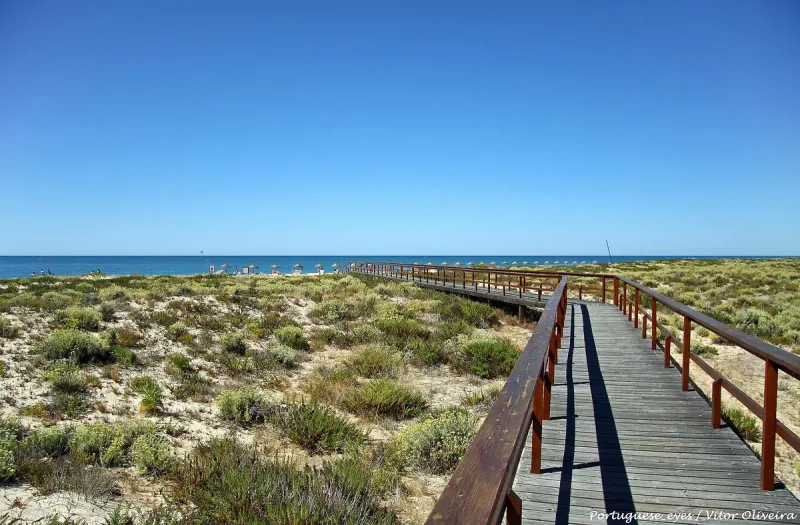 A wooden boardwalk winding through sand dunes and low scrub towards the shoreline