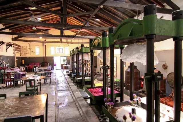 A room in an old oil mill with green presses, wooden beams and tables among the machinery
