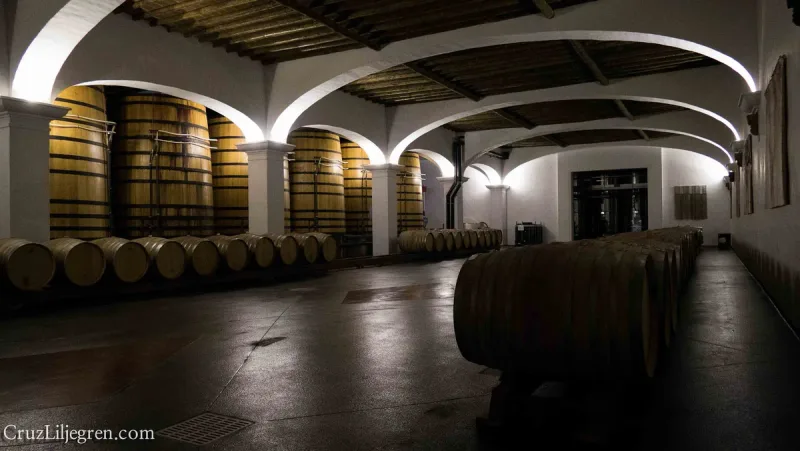 The vaulted barrel cellar at the Joao Portugal Ramos winery in Estremoz