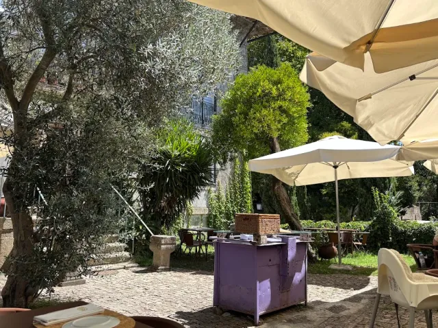 A paved garden with olive trees, cream parasols, a purple metal cart and tables in the shade