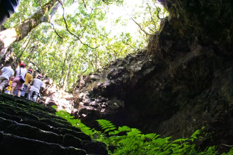 A dark lava cave mouth among moss covered rocks and green ferns