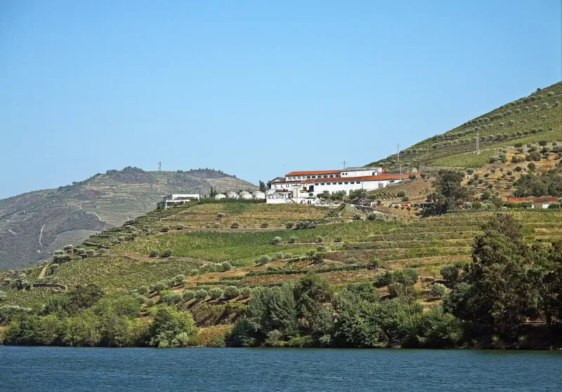 A white estate house on a terraced vineyard slope above a wide river