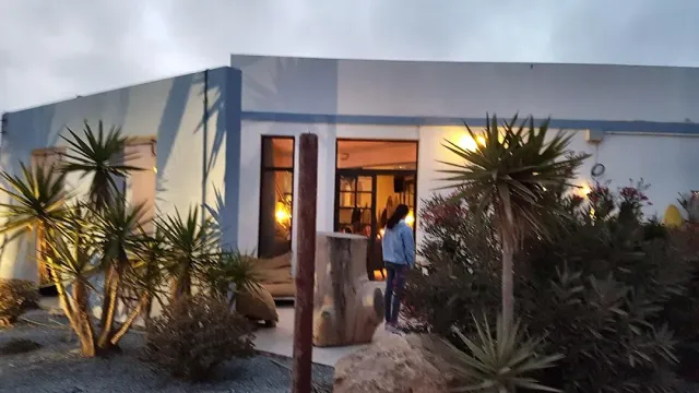 A low white and blue building at dusk, a lit doorway and yucca plants in front