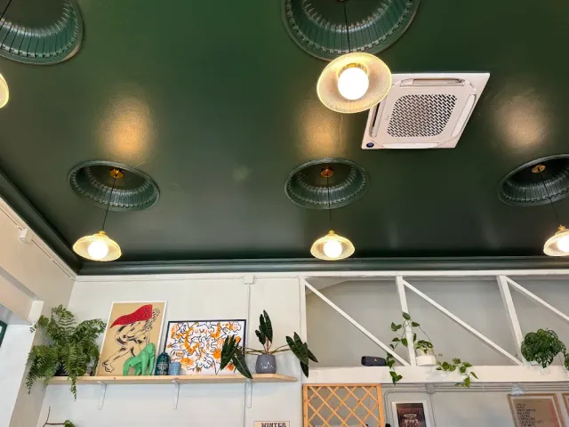 A view up at a dark green ceiling with green metal lamps, and a shelf of posters and plants