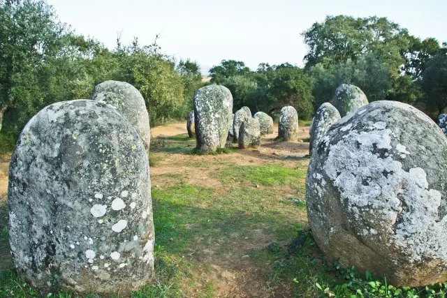 A circle of rounded megalithic stones on grass among cork oaks