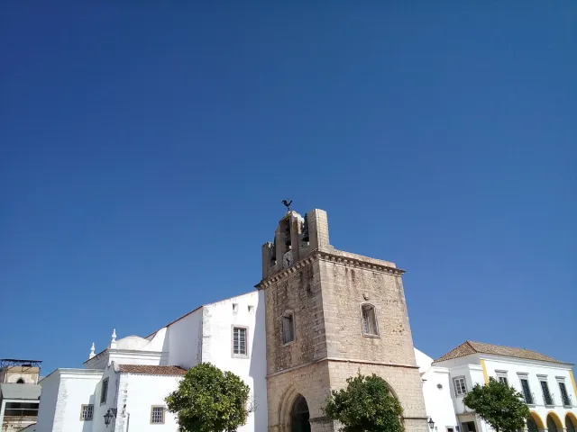 A white cathedral front with a stone bell tower facing a square