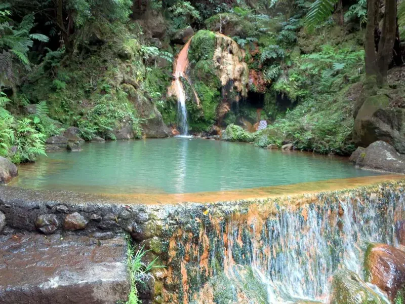 Green natural pool among ferns and tree ferns fed by a small waterfall over rust coloured rock