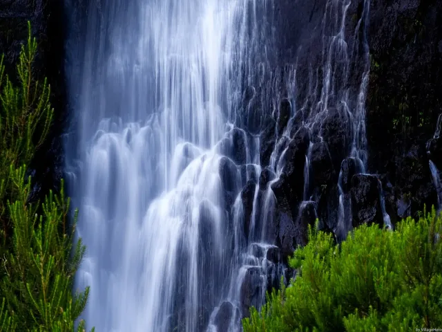 A wide white waterfall dropping down a plant covered rock wall