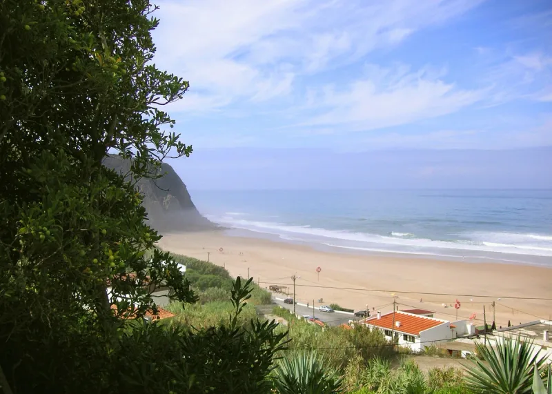 Long sandy bay with white surf and a dark headland at its end, seen through leafy branches
