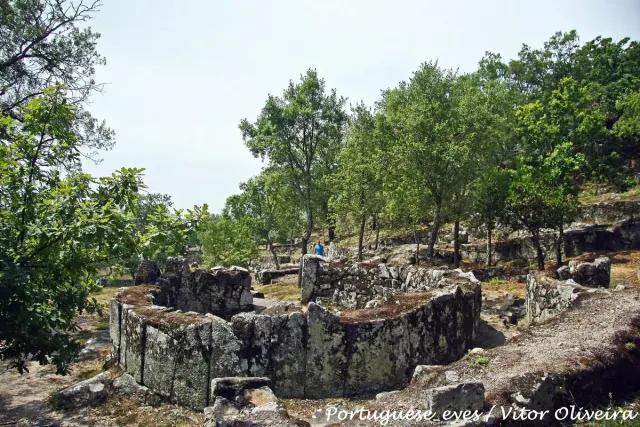 Round stone foundations of ancient houses among trees and grass