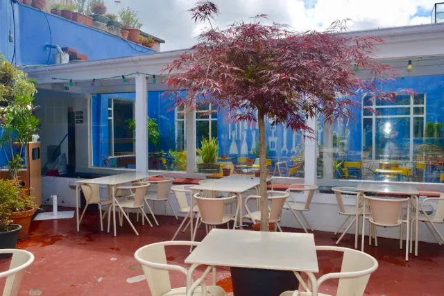An open rooftop with blue walls, a red maple in a planter and white chairs
