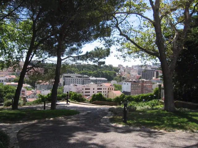 Shaded garden paths under pine trees with city rooftops beyond