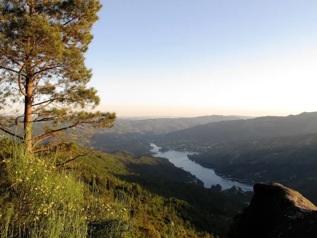 A wooded slope dropping to a reservoir winding between ridges