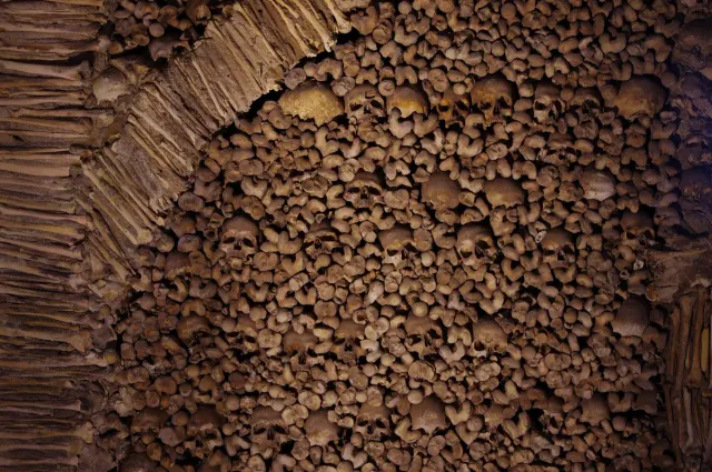 A wall entirely of bones and skulls arranged in dense rows