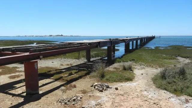 A long wooden jetty crossing lagoon marshes to calm water
