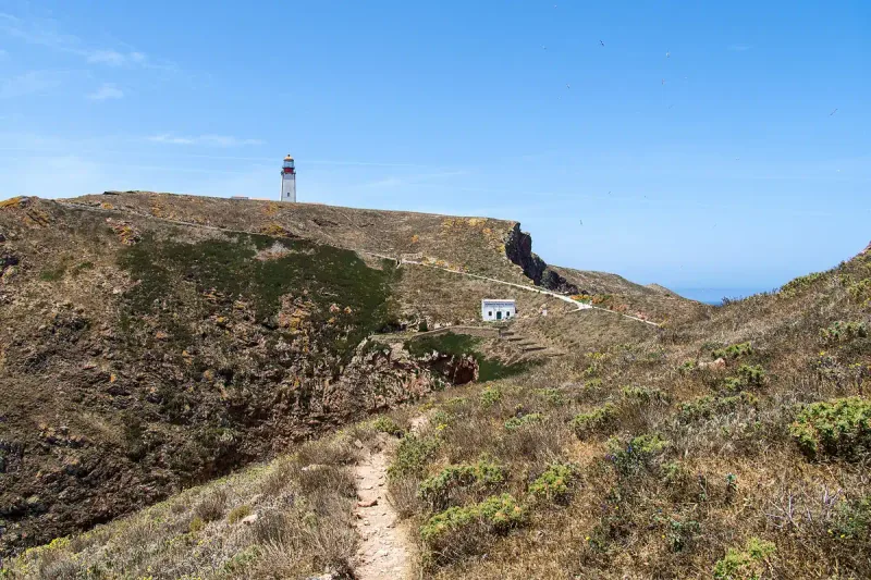 A dirt path over a grassy island hill with a white lighthouse on the ridge