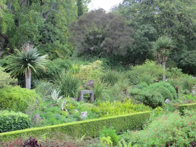A lush terraced green garden with palms and flowering shrubs