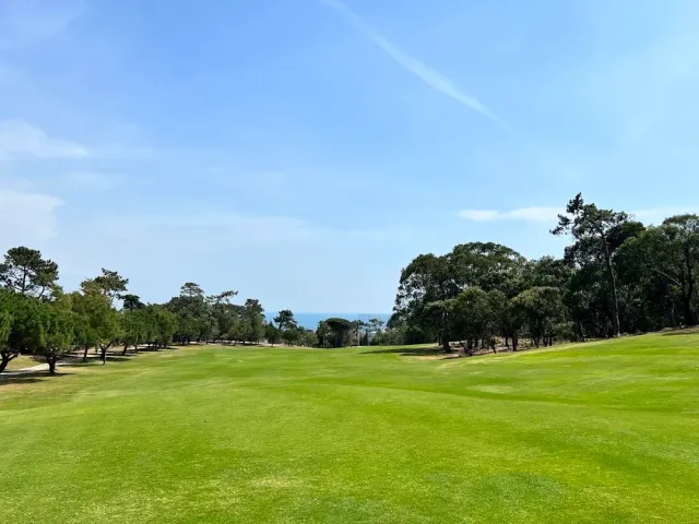 A wide green turf course between pine trees, with a strip of sea on the horizon
