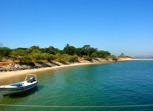 A quiet sandy shore with a small boat, greenish water and low scrub