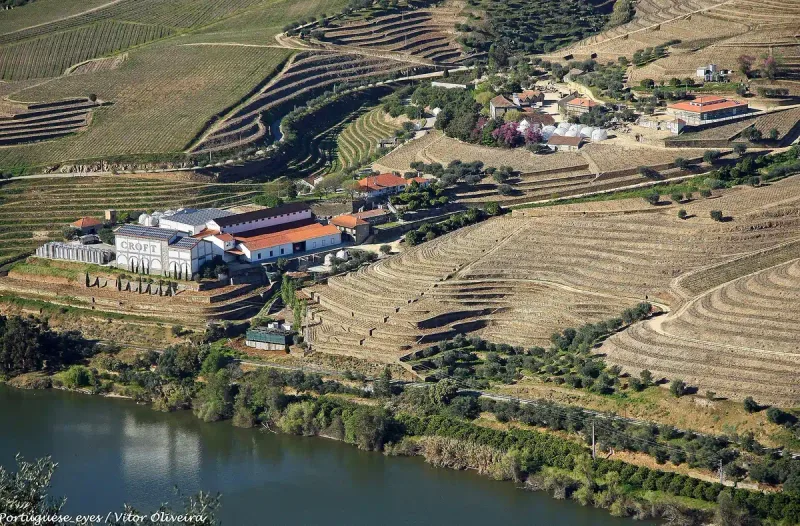 White winery buildings among vineyard terraces on a slope running down to a river