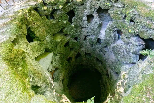 A deep circular rock well with spiral steps covered in green moss