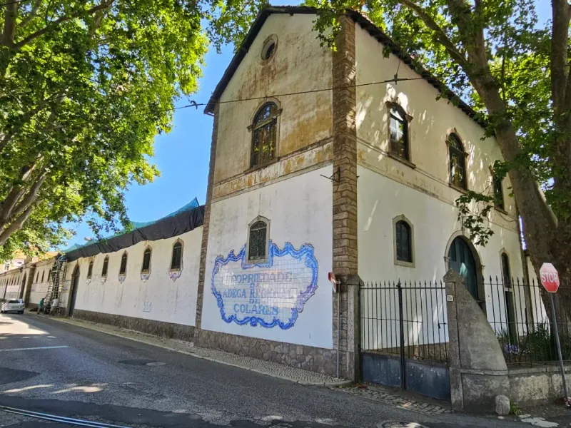 A long old winery building with a blue tile panel on the wall, among plane trees