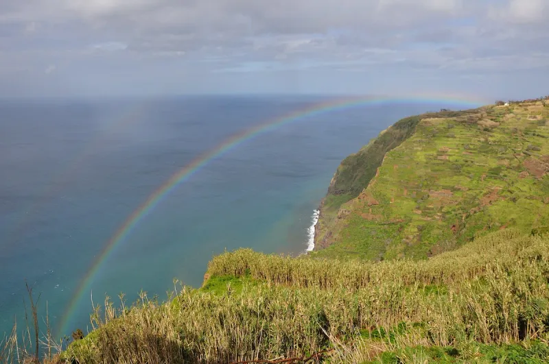 Rainbow arching over the ocean beside a steep green cliff of cultivated terraces
