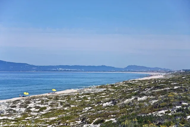 A long shoreline of low dunes and a pale sand strip beside blue sea