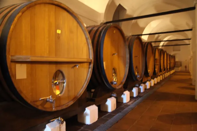 A row of huge wooden vats with taps along a vaulted cellar