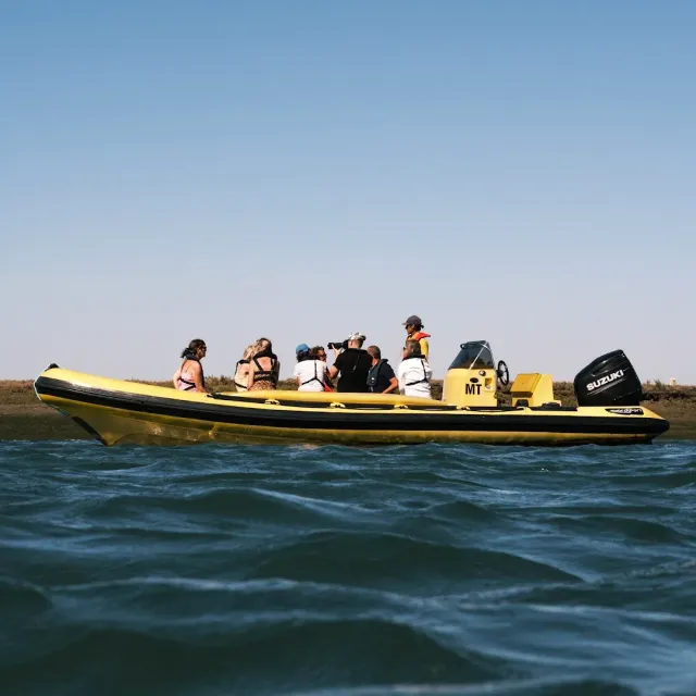 A yellow inflatable boat with passengers sailing calm water beside a low shore