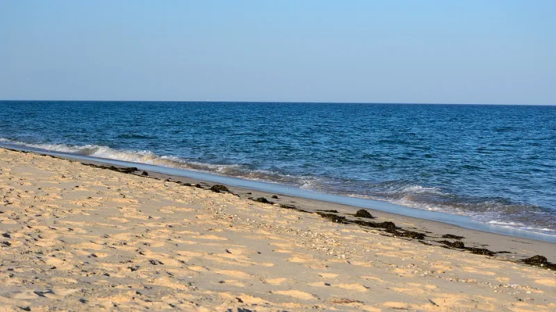 A wide empty strip of golden sand along calm blue water