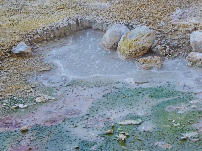 A boiling mud pool with green and pink mineral crusts among rocks