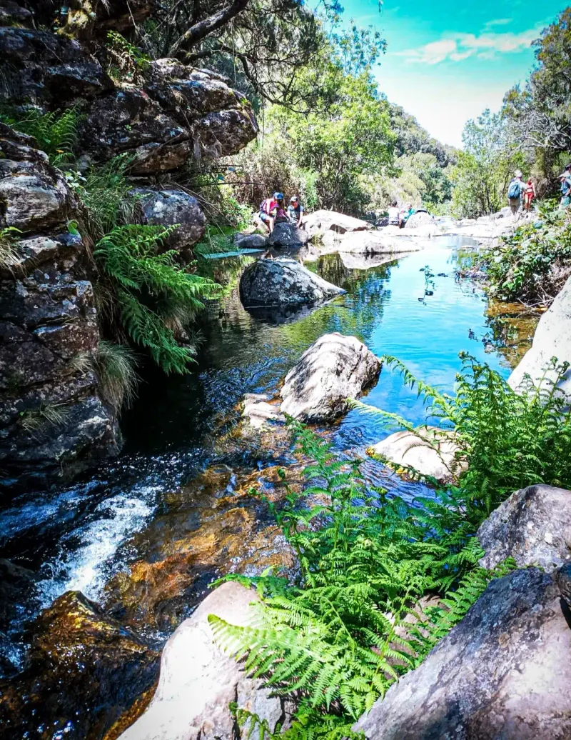 The warm water and dense vegetation at Poca da Dona Beija in Furnas