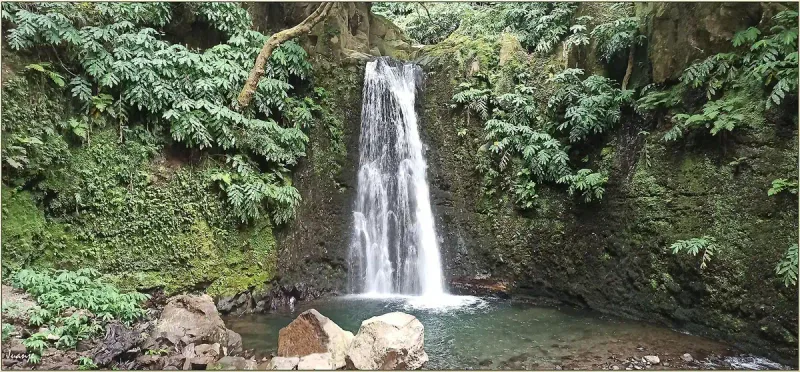 A narrow waterfall dropping into a quiet pool inside dense green forest