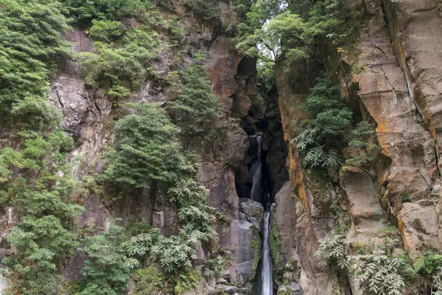 A narrow waterfall dropping between canyon walls covered in green plants