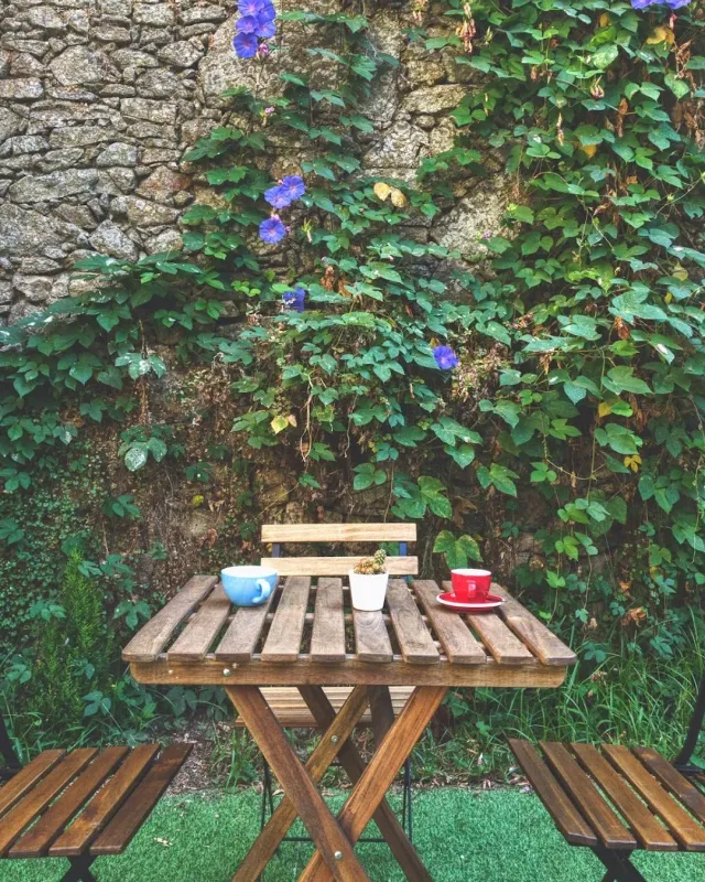 A folding wooden table with two cups and a cactus, facing a stone wall covered in a flowering vine