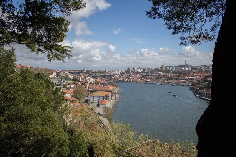 A wide river and a city of tiled roofs seen through tree branches in the foreground