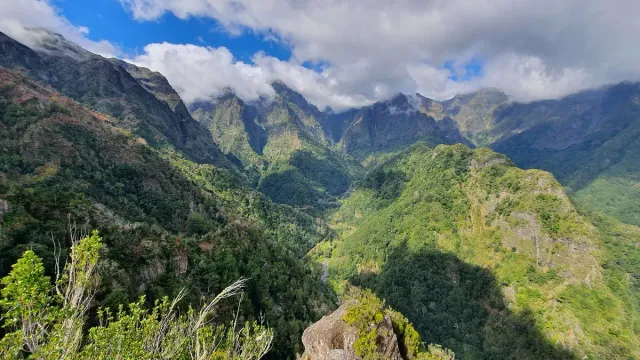 A deep green mountain valley with jagged peaks above dense forest