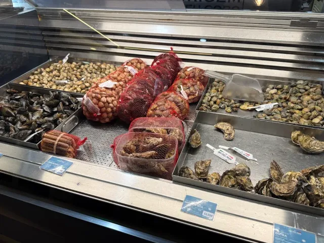 A chilled display case with oysters, mussels, sea snails and mesh bags of fresh shellfish