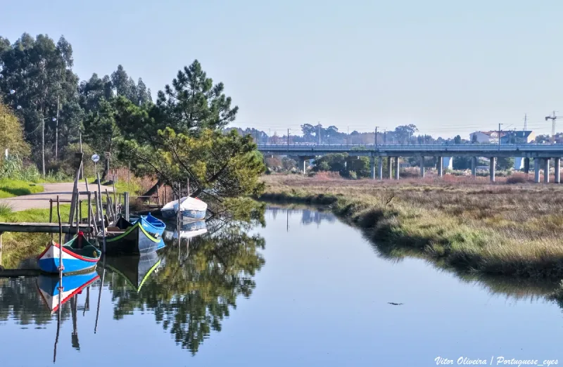 Colourful boats moored by a wooden jetty on a still canal among reeds