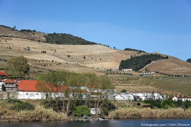 White estate buildings on a river bank below terraced vineyard slopes