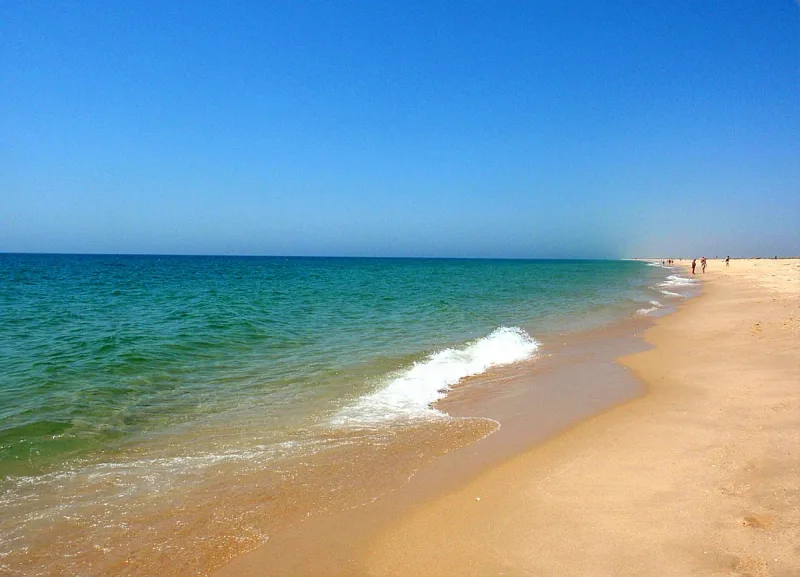 Clear turquoise water and a small wave on golden sand along an empty shore
