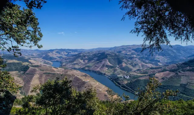 A river bend between brown and green terraced slopes in a deep valley